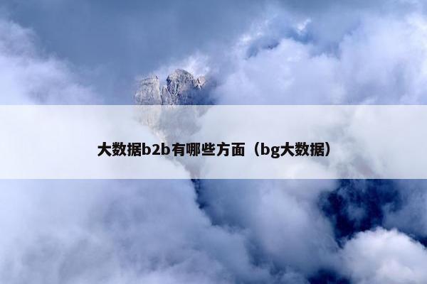 大数据b2b有哪些方面（bg大数据）