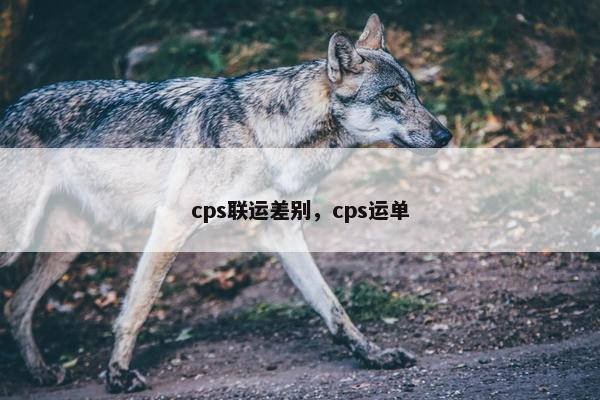 cps联运差别，cps运单
