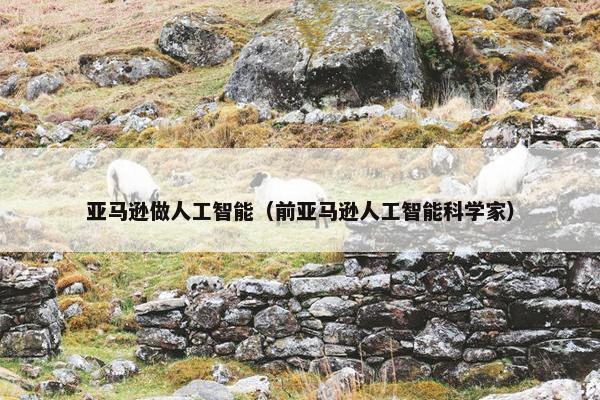亚马逊做人工智能（前亚马逊人工智能科学家）