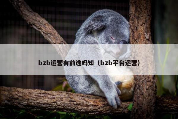 b2b运营有前途吗知（b2b平台运营）