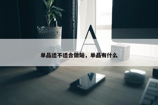 单品适不适合做站，单品有什么