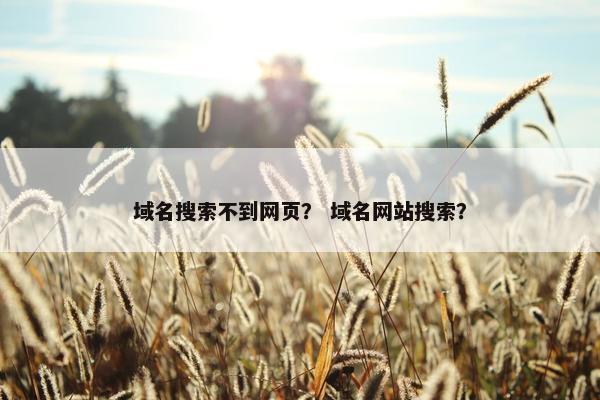 域名搜索不到网页？ 域名网站搜索？