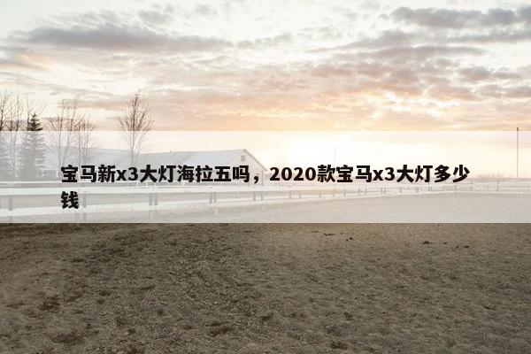 宝马新x3大灯海拉五吗，2020款宝马x3大灯多少钱