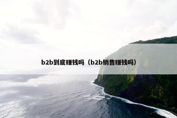 b2b到底赚钱吗（b2b销售赚钱吗）