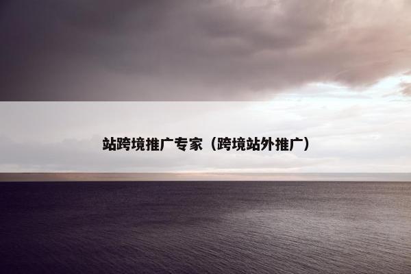 站跨境推广专家（跨境站外推广）