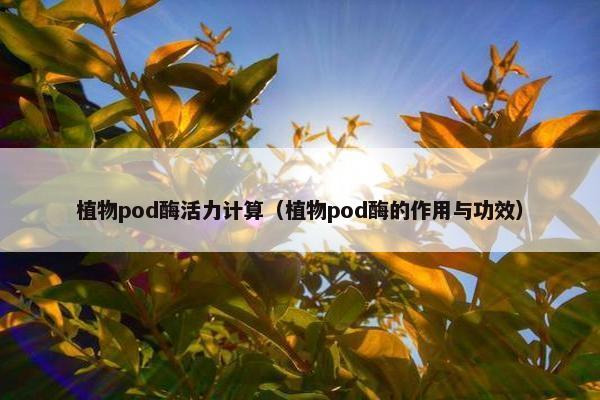 植物pod酶活力计算（植物pod酶的作用与功效）