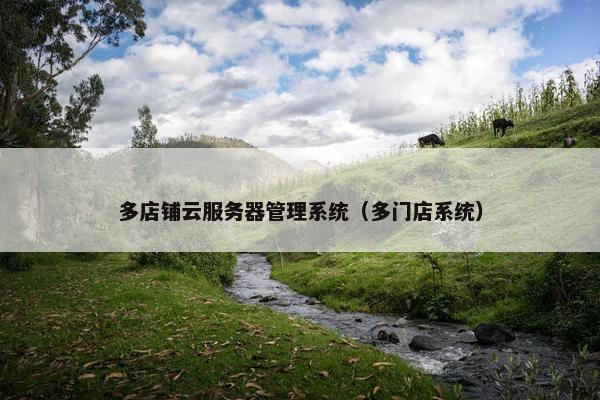 多店铺云服务器管理系统（多门店系统）