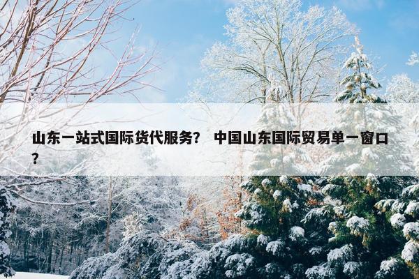山东一站式国际货代服务？ 中国山东国际贸易单一窗口？