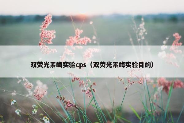 双荧光素酶实验cps（双荧光素酶实验目的）