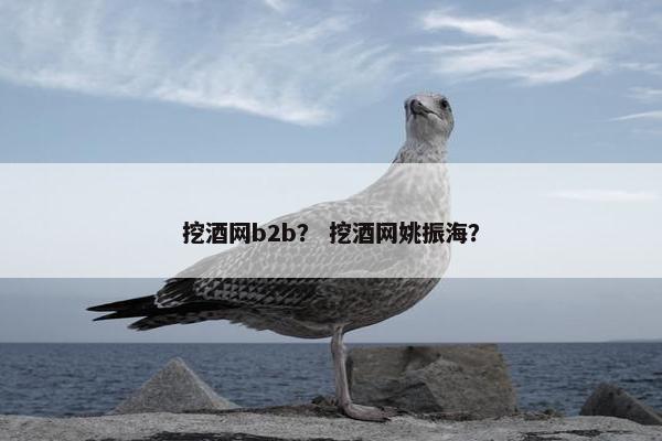 挖酒网b2b？ 挖酒网姚振海？