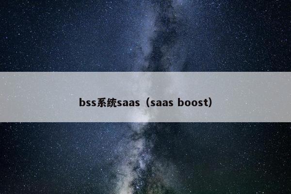 bss系统saas（saas boost）