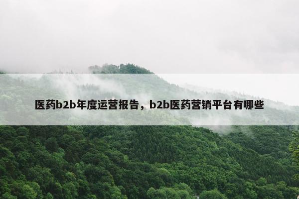 医药b2b年度运营报告，b2b医药营销平台有哪些