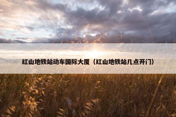 红山地铁站动车国际大厦（红山地铁站几点开门）