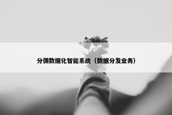 分佣数据化智能系统（数据分发业务）