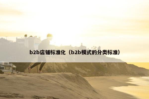 b2b店铺标准化（b2b模式的分类标准）
