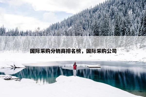 国际采购分销商排名榜，国际采购公司
