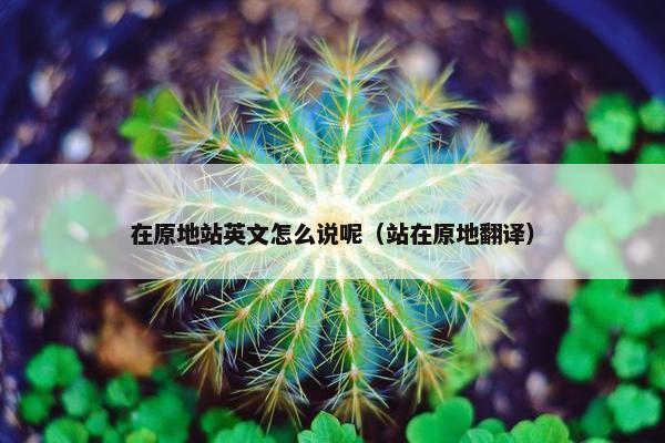 在原地站英文怎么说呢（站在原地翻译）