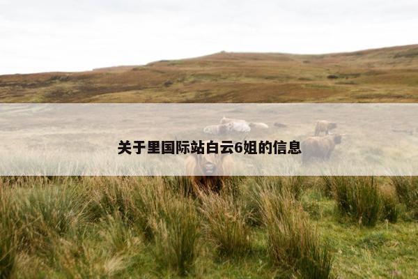 关于里国际站白云6姐的信息