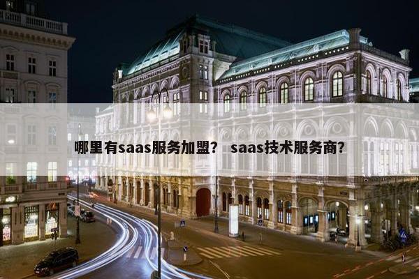 哪里有saas服务加盟？ saas技术服务商？