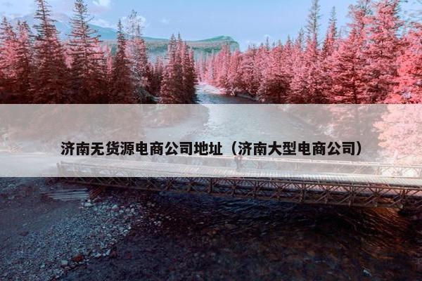 济南无货源电商公司地址（济南大型电商公司）