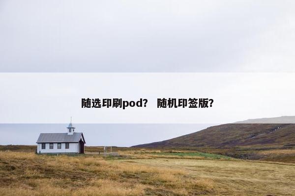 随选印刷pod？ 随机印签版？