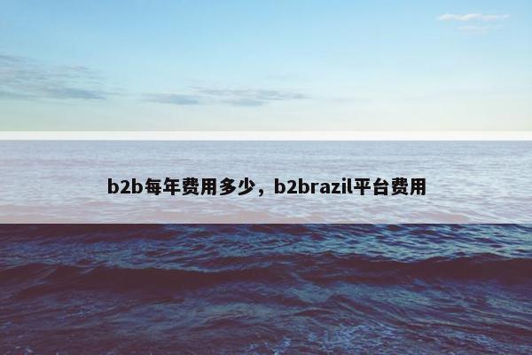 b2b每年费用多少，b2brazil平台费用