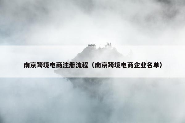 南京跨境电商注册流程（南京跨境电商企业名单）