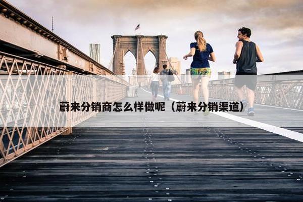 蔚来分销商怎么样做呢（蔚来分销渠道）
