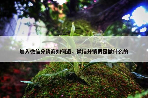 加入微信分销商如何退，微信分销员是做什么的