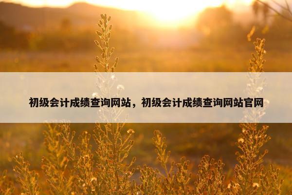 初级会计成绩查询网站，初级会计成绩查询网站官网