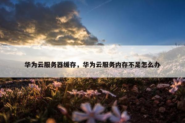 华为云服务器缓存，华为云服务内存不足怎么办