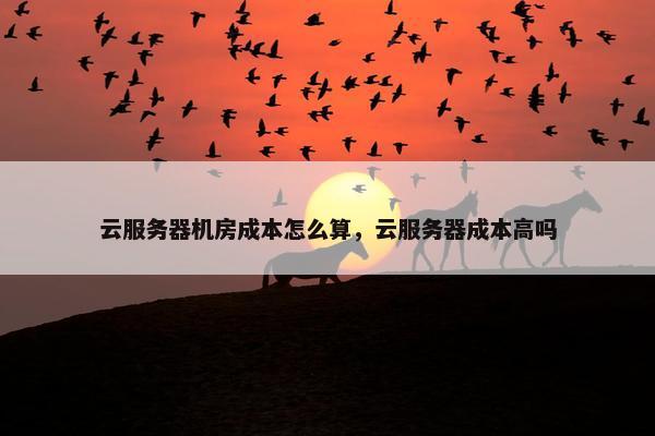 云服务器机房成本怎么算，云服务器成本高吗