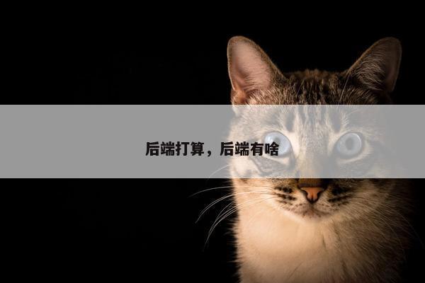 后端打算，后端有啥