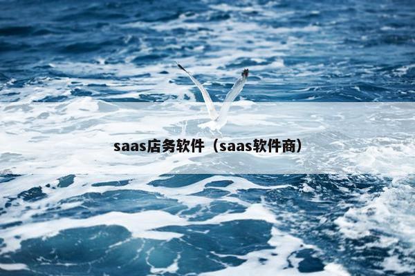 saas店务软件（saas软件商）
