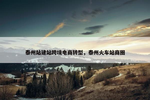 泰州站建站跨境电商转型，泰州火车站商圈