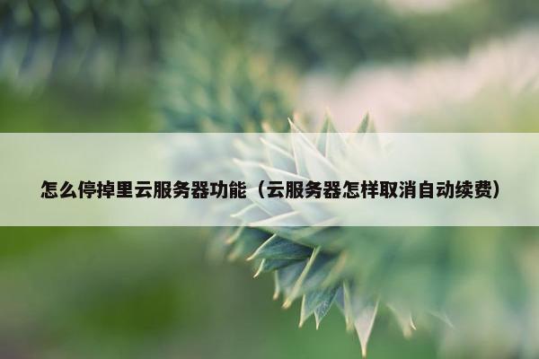 怎么停掉里云服务器功能（云服务器怎样取消自动续费）