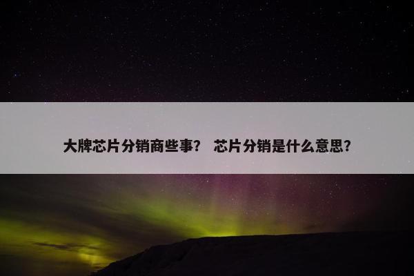 大牌芯片分销商些事？ 芯片分销是什么意思？
