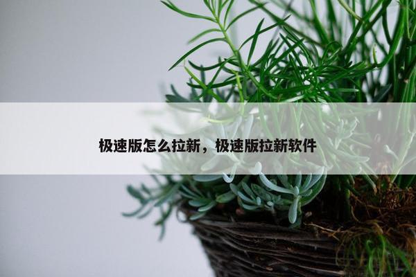 极速版怎么拉新，极速版拉新软件
