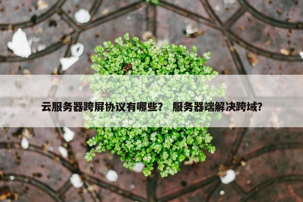 云服务器跨屏协议有哪些？ 服务器端解决跨域？