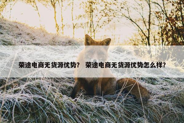 荣途电商无货源优势？ 荣途电商无货源优势怎么样？