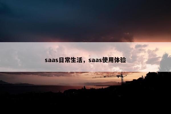 saas日常生活，saas使用体验