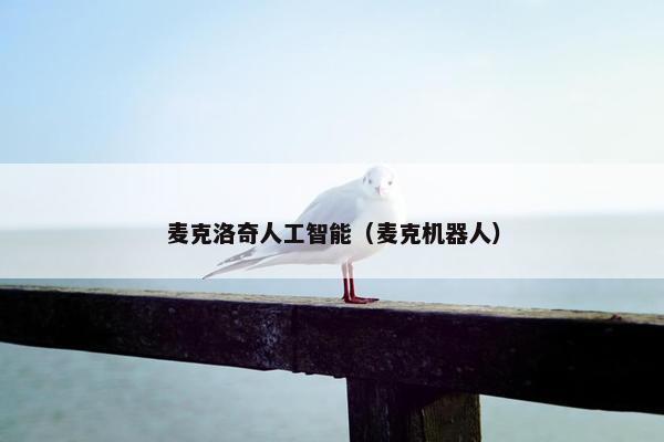 麦克洛奇人工智能（麦克机器人）
