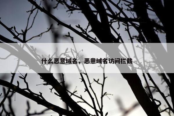 什么恶意域名，恶意域名访问拦截