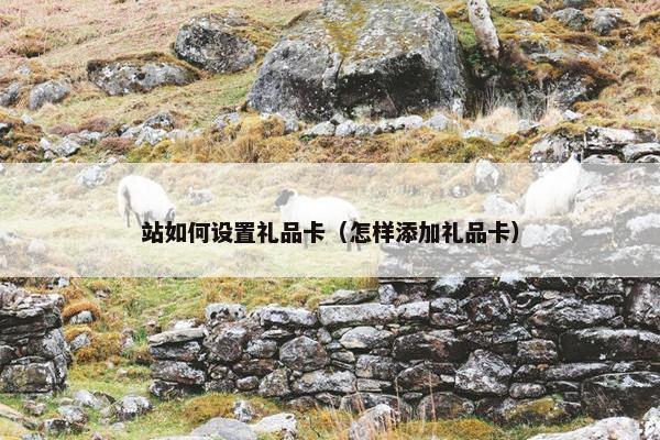 站如何设置礼品卡（怎样添加礼品卡）
