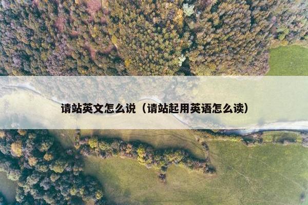 请站英文怎么说（请站起用英语怎么读）