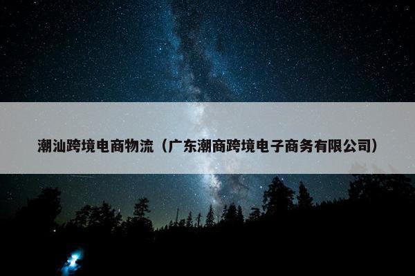 潮汕跨境电商物流（广东潮商跨境电子商务有限公司）