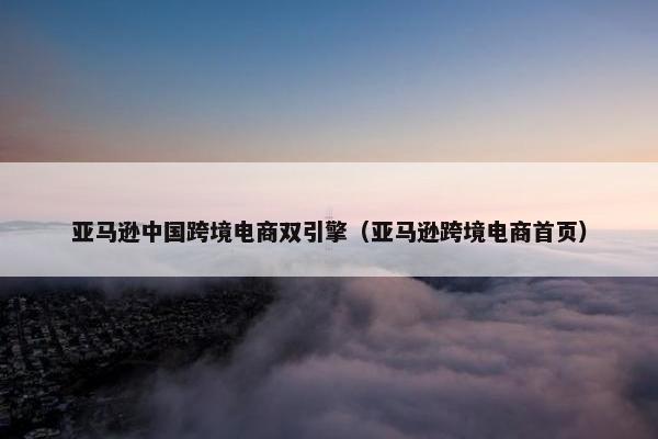 亚马逊中国跨境电商双引擎（亚马逊跨境电商首页）
