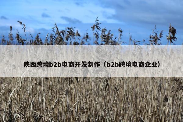 陕西跨境b2b电商开发制作（b2b跨境电商企业）
