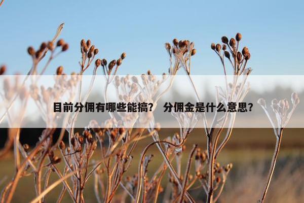 目前分佣有哪些能搞？ 分佣金是什么意思？