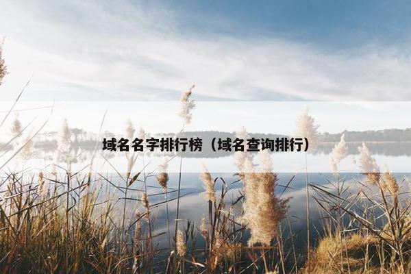 域名名字排行榜（域名查询排行）